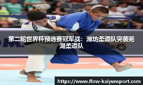 第二轮世界杯预选赛冠军战:潍坊柔道队突袭芜湖柔道队
