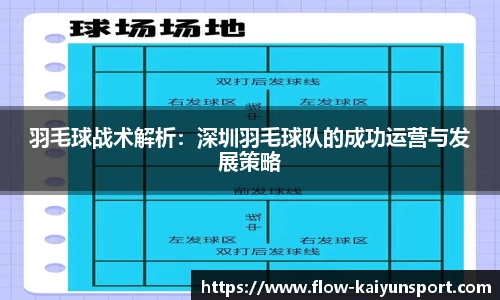 羽毛球战术解析：深圳羽毛球队的成功运营与发展策略